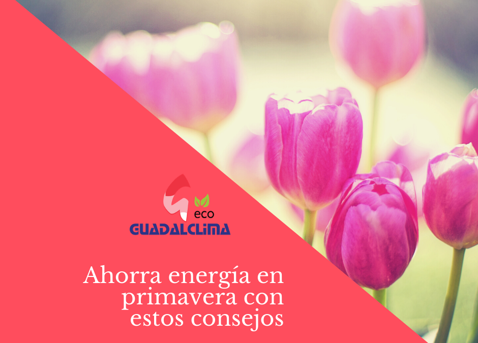 Consejos para ahorrar energía en primavera