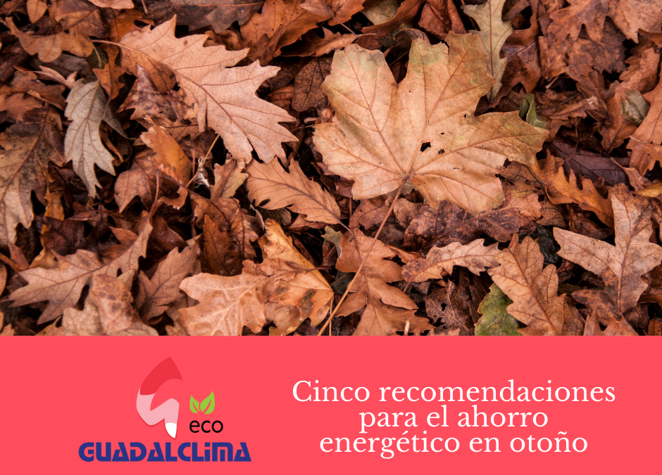 Cinco consejos para ahorrar energía en el otoño