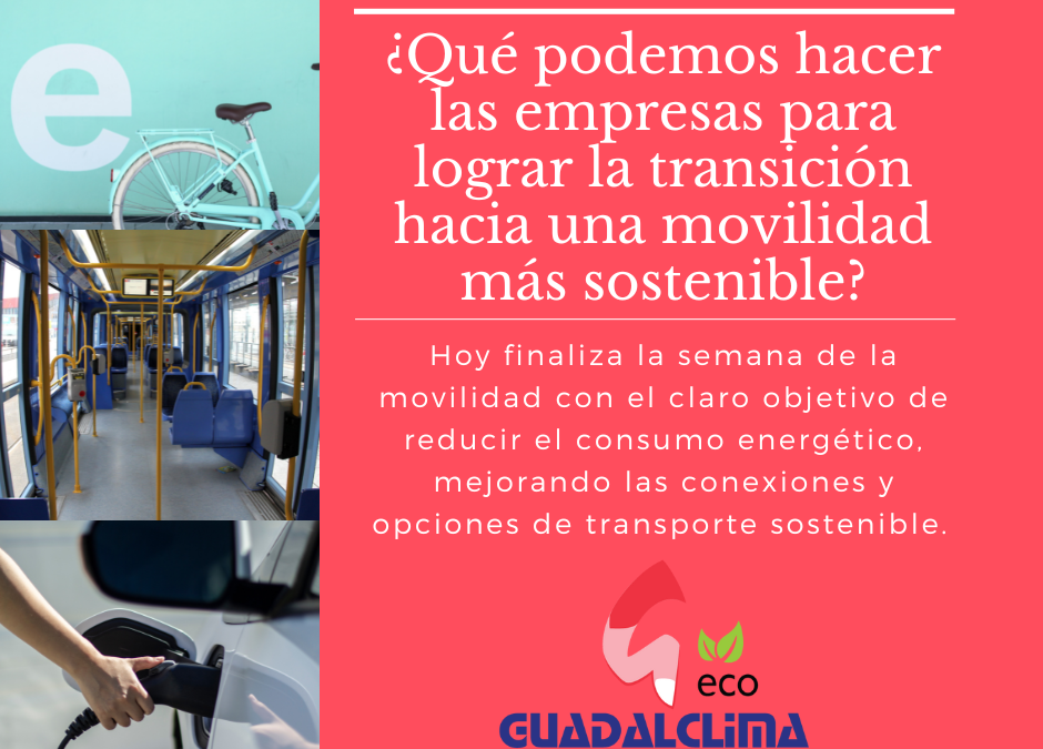 ¿Qué podemos hacer las empresas para lograr la transición hacia una movilidad más sostenible?