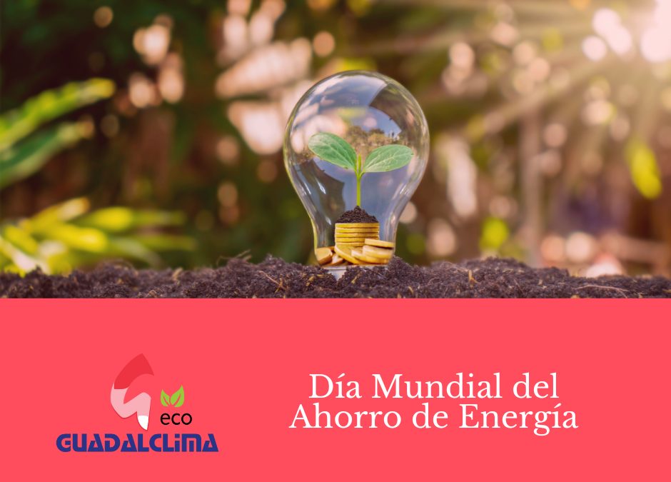 En el Día Mundial del Ahorro de Energía reflexionamos en torno a los pequeños gestos que pueden marcar la diferencia