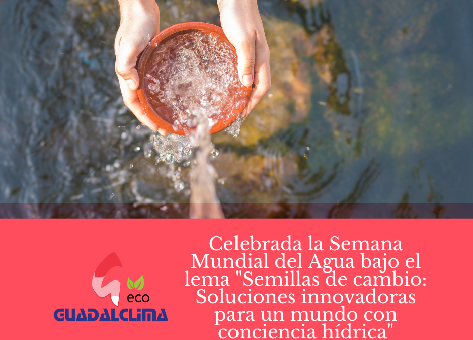 Se celebra la Semana Mundial del agua bajo el lema “Semillas de cambio: Soluciones innovadoras para un mundo con conciencia hídrica”