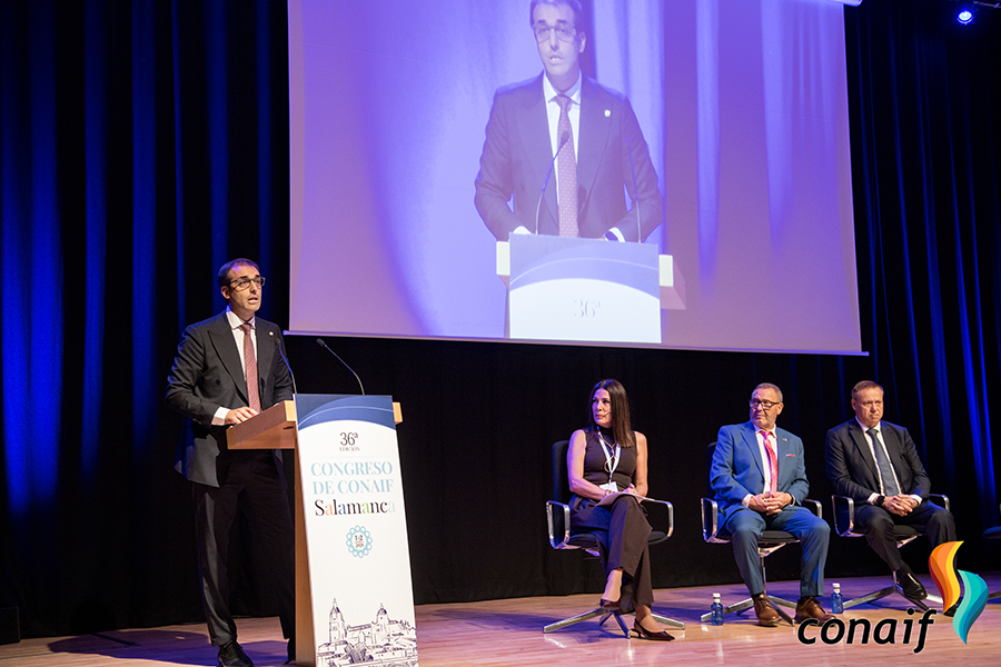 web-2_presentacion